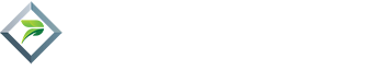 Parkstone Financial Services Logo